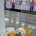 [EXO] 니네이거아냐 어떤분이 <b>지하철</b>타야되는데