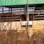 [개념상실] (이거 왜 이래)   악취 <b>민원</b> 최다