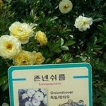 [EXO] 아니 내 <b>몸</b>은 ㅈㄴ신기한게