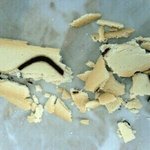 [EXO] 난 탱큥보단 ㄷ둘기때가 더 쿠크깨짐