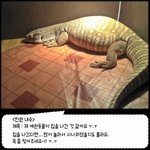 [추억파리여] 80cm <b>도마뱀</b> 가출뒤 열흘 만에 컴백