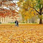 이라크 <b>내전</b>은 종교대통합 만국회의로~~끝~~!!