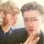 [팬픽] 세/루는 왜 회사에서 <b>정해</b>줬다고 하는거야??