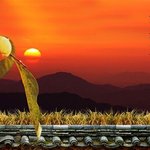 [종교대통합] 명절이면 <b>제사문제</b>,  종교통합 만국회의로 해결 될까...