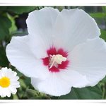지구촌에 종교대통합과 만국<b>회의</b>로 평화의 소식이 들린다면?