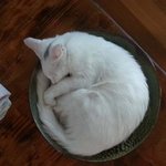 [EXO] 우리집 <b>한접시</b>