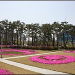 종교통합 만국회의는 국제<b>분쟁</b>을 <b>해결</b>할 수 있다.