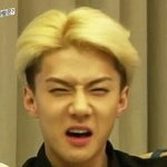 [EXO] 손고자 나레기가 세훈이를그려봄