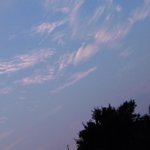 [꿈을꾸어요] 세계 평화를 위한 종교대통합만국<b>회의</b>가 열렸으면 좋겠네요^^
