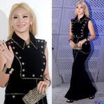 [<b>2ne1</b>] 대문자 s라인 씨엘 몸매