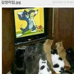 감정<b>이입</b>