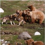 <b>불구경</b>보다 재밌는게 싸움구경