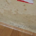 [EXO] 고민들어줘ㅠㅠㅠ심각해