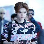 [EXO] 루한태국콘서트못나온데