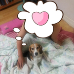 아이라인이 매력적인 비글 야<b>롱이</b>