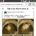 [EXO] 와시발 이거봐 미친거이니냐?