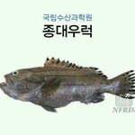 [EXO] 얘들아 나 어떡해ㅜㅜㅜㅜ
