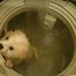 [EXO] 백까살=백현이까면<b>사살</b>