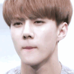 [EXO] 미친 히치하이커 나만 이래생각함?ㅋㅋㅋㅋㅋㅋ