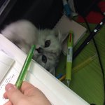 [그리운날엔] 사랑은... <b>여자</b>는....변해도~