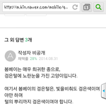 고양이<b>종류</b>