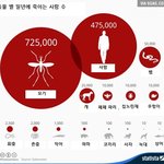 [<b>루니</b>시] 동물별 일년에 죽이는 사람 수