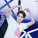 [EXO] <b>나잘</b>께 너네도잘자