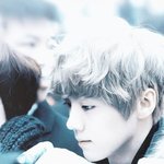 [EXO] 야니네서프라이즈보고있냐ㅠㅠㅠㅠㅠ