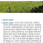 [추억파리여] 박지윤의 무개념 <b>행동</b> 그리고 사과