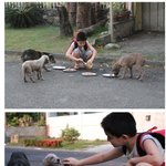 [추억파리여] 용돈을 모아서 유기견을 돌보는 소년