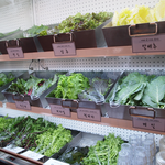 남편이랑 웰빙외식. 건강<b>쌈밥</b> ~