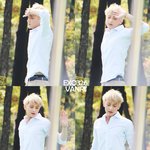 [EXO] 외국팬들 ㄹㅇ부럽다