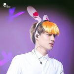 [카이] 니니 노란<b>토끼</b> 되던날.,,