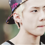 [EXO] 얘들아ㅈㅂㅈㅂㅈㅂ알랴줘ㅜㅜㅜㅜㅜ