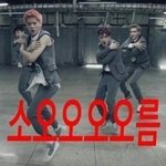 [EXO] 악개들도 콘서트 감??