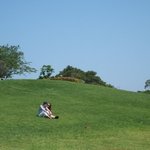 제주도 리조트 추천 강추 해요!