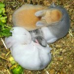 [년시리즈] 설리녀 은정녀 키티녀를 잇는 우리학교 여자애 (스압주의)...