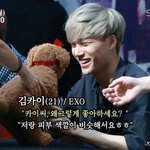 [EXO] 아이돌 열애설은 