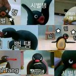 [EXO] 너네 학과 어디로 갈거야??