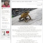 [추억파리여] 김부선의 <b>행보</b>가 거슬렸던 연예인