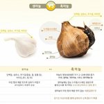 건강한 임신준비. 이렇게 시작해요. 