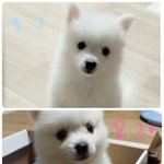 [<b>망나니</b>] #나니의 성장기