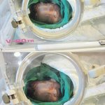 [육아ㅎㅎ] 임신과 출산 그리고 육아 (사진 有)