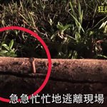 [EXO] 헐 홍콩 파파라치가 영상 푼거 봤어??