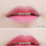 가을에 어울리는 핫한 신상! <b>new</b> 아리따움 뱀파이어 쿠션틴트