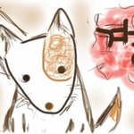 [강아지] 겨울아,  사랑해 오래살아