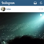 [EXO] 이번 컴백은 진심 딱 봐도 정규앨범에 완전체가 <b>확실</b>