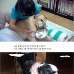 마음으로 보는 <b>사진들</b>..71