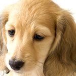 [수정] 과외 선생님이 저한테....