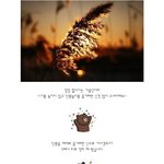 가을 <b>산행</b> 계획중이신 분?